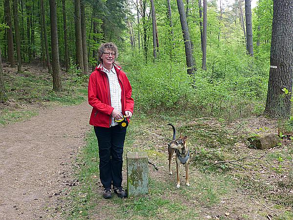 Foto:: Altschlosspfad / Eppenbrunn / 03.05.2018 (Foto,Fotos,Bilder,Bild,)