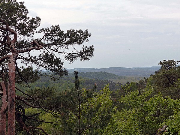 Foto:: Altschlosspfad / Eppenbrunn / 03.05.2018 (Foto,Fotos,Bilder,Bild,)