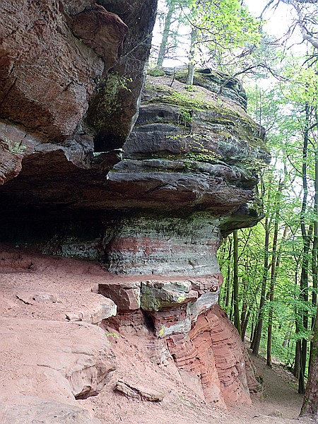 Foto:: Altschlosspfad / Eppenbrunn / 03.05.2018 (Foto,Fotos,Bilder,Bild,)