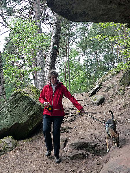 Foto:: Altschlosspfad / Eppenbrunn / 03.05.2018 (Foto,Fotos,Bilder,Bild,)