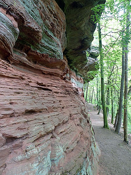 Foto:: Altschlosspfad / Eppenbrunn / 03.05.2018 (Foto,Fotos,Bilder,Bild,)