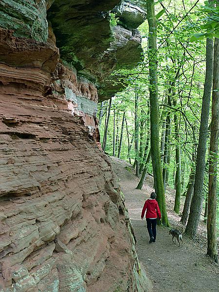 Foto:: Altschlosspfad / Eppenbrunn / 03.05.2018 (Foto,Fotos,Bilder,Bild,)