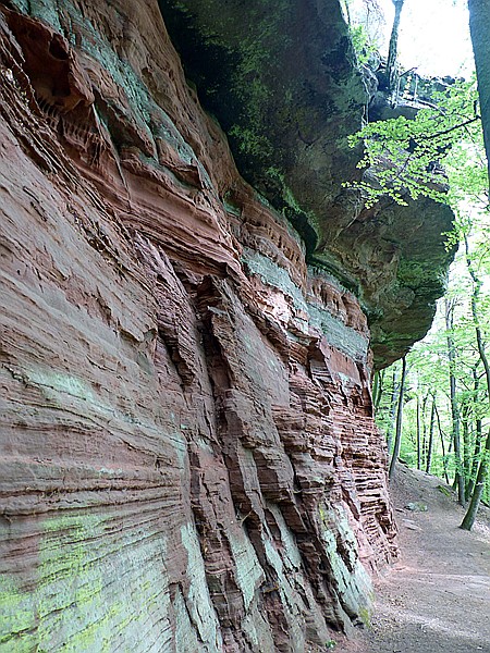 Foto:: Altschlosspfad / Eppenbrunn / 03.05.2018 (Foto,Fotos,Bilder,Bild,)