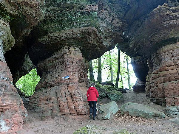 Foto:: Altschlosspfad / Eppenbrunn / 03.05.2018 (Foto,Fotos,Bilder,Bild,)