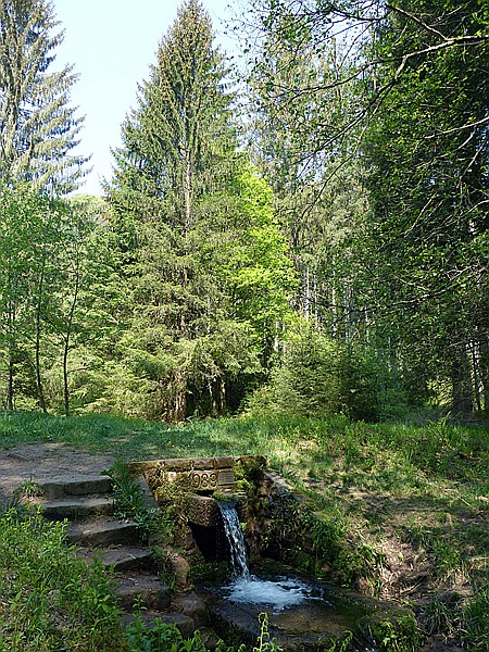 Foto:: Rumberg Steig / Ludwigswinkel / 04.05.2018 (Foto,Fotos,Bilder,Bild,)