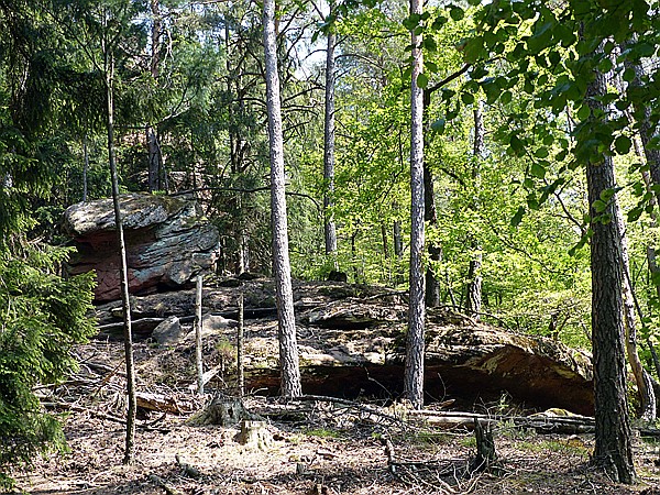 Foto:: Rumberg Steig / Ludwigswinkel / 04.05.2018 (Foto,Fotos,Bilder,Bild,)