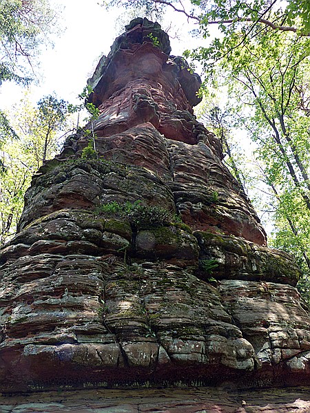 Foto:: Rumberg Steig / Ludwigswinkel / 04.05.2018 (Foto,Fotos,Bilder,Bild,)