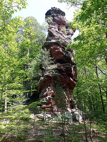 Foto:: Rumberg Steig / Ludwigswinkel / 04.05.2018 (Foto,Fotos,Bilder,Bild,)