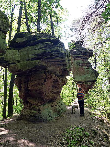 Foto:: Rumberg Steig / Ludwigswinkel / 04.05.2018 (Foto,Fotos,Bilder,Bild,)