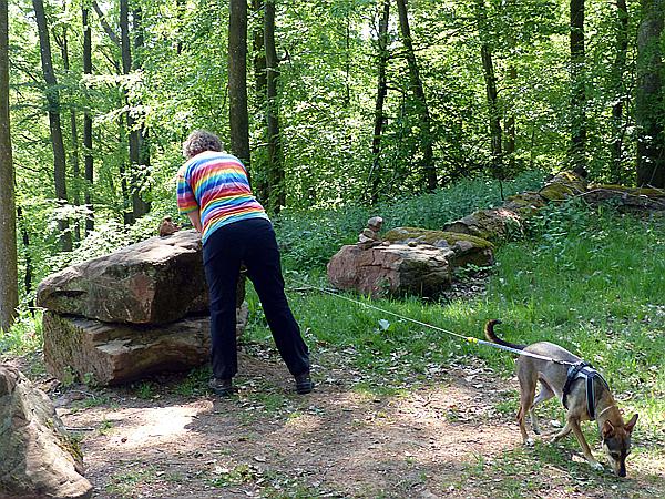 Foto:: Rumberg Steig / Ludwigswinkel / 04.05.2018 (Foto,Fotos,Bilder,Bild,)