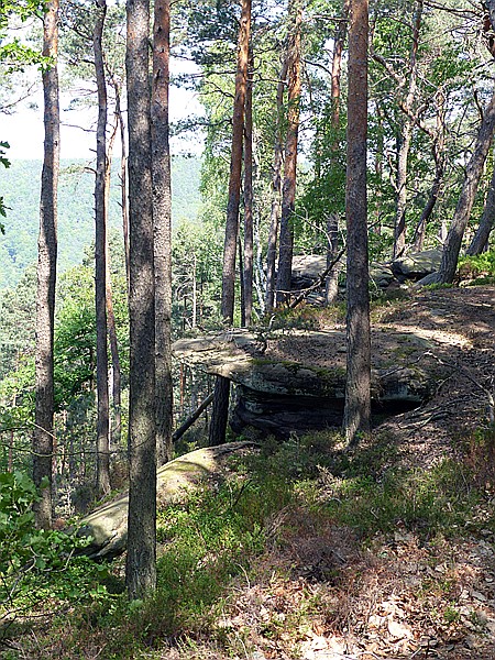 Foto:: Geiersteine Tour / Lug / 05.05.2018 (Foto,Fotos,Bilder,Bild,)