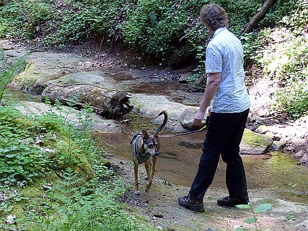 Foto:: Hexenklamm (Foto,Fotos,Bilder,Bild,)