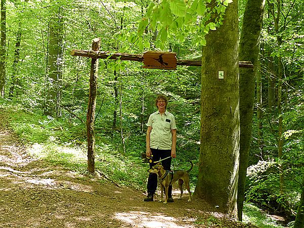 Foto:: Hexenklamm (Foto,Fotos,Bilder,Bild,)