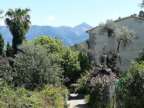 Foto:: Wanderung / Deia - Port de Soller / 15.05.2018 (Foto,Fotos,Bilder,Bild,)