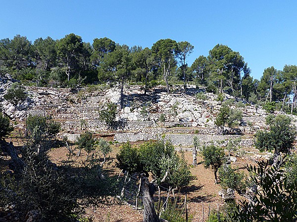 Foto:: Wanderung / Port de Soller - Soller / 16.05.2018 (Foto,Fotos,Bilder,Bild,)