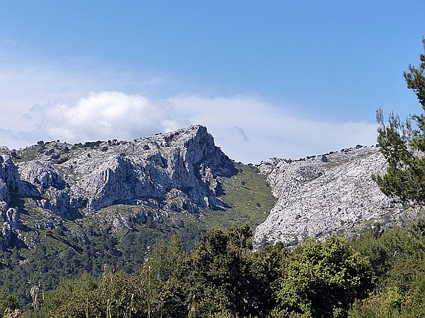 Foto:: Wanderung / Cuber Stausee - Port de Soller / 17.05.2018 (Foto,Fotos,Bilder,Bild,)
