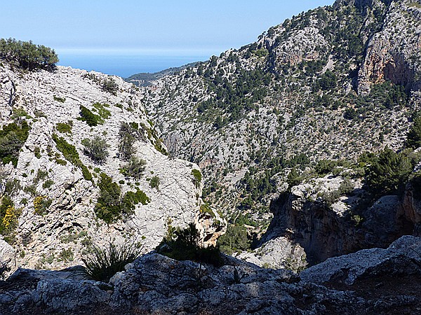Foto:: Wanderung / Cuber Stausee - Port de Soller / 17.05.2018 (Foto,Fotos,Bilder,Bild,)