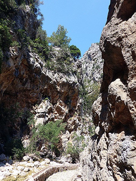 Foto:: Wanderung / Cuber Stausee - Port de Soller / 17.05.2018 (Foto,Fotos,Bilder,Bild,)