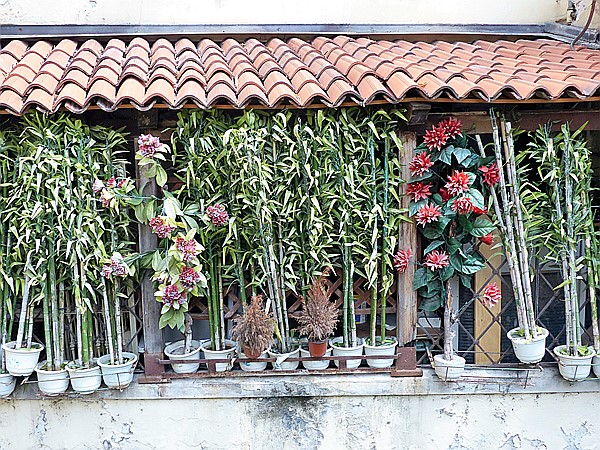 Foto:: Navigli / Mailand / 01.07.2018 (Foto,Fotos,Bilder,Bild,)