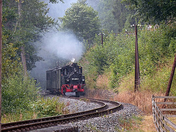 Foto:: DR 99 1590-1 / Schmalgrube / 04.08.2018 (Foto,Fotos,Bilder,Bild,)