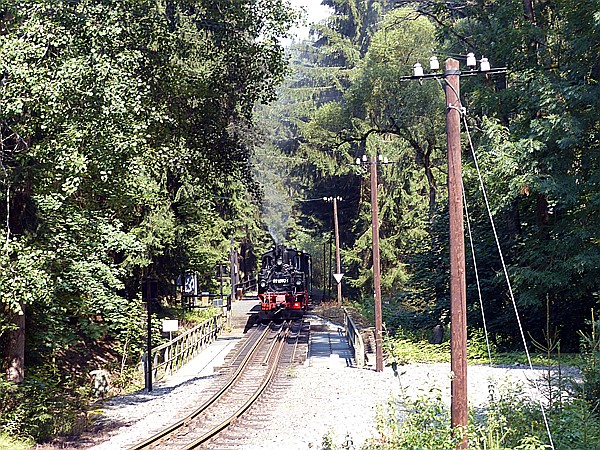 Foto:: DR 99 1590-1 / Joehstadt / 04.08.2018 (Foto,Fotos,Bilder,Bild,)