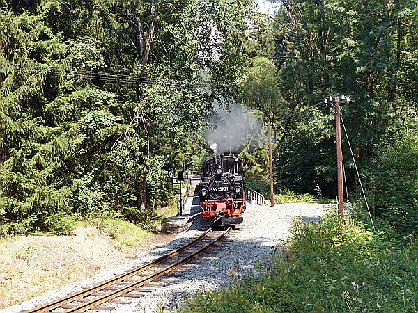 Foto:: DR 99 1590-1 / Joehstadt / 04.08.2018 (Foto,Fotos,Bilder,Bild,)