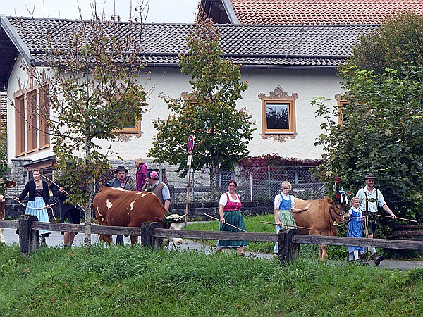 Foto:: Almabtrieb / Kruen / 15.09.2018 (Foto,Fotos,Bilder,Bild,)