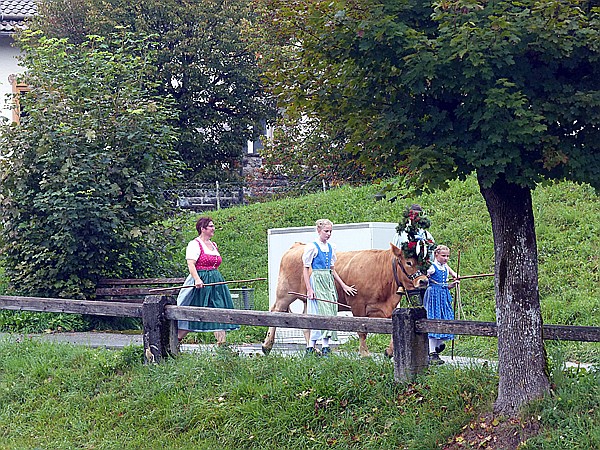 Foto:: Almabtrieb / Kruen / 15.09.2018 (Foto,Fotos,Bilder,Bild,)