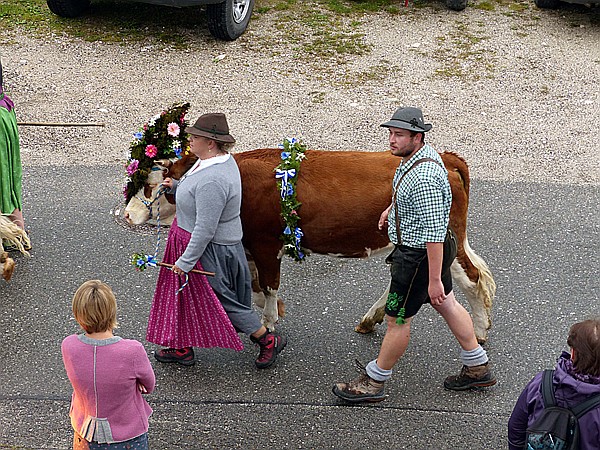Foto:: Almabtrieb / Kruen / 15.09.2018 (Foto,Fotos,Bilder,Bild,)