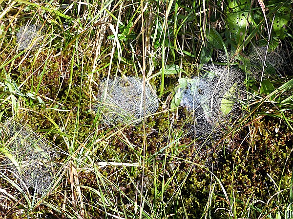 Foto:: Wanderung / Elmau - Mittenwald / 16.09.2018 (Foto,Fotos,Bilder,Bild,)