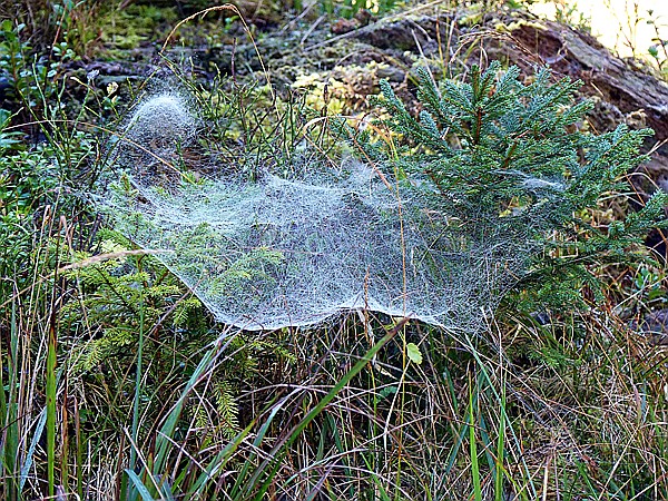 Foto:: Wanderung / Elmau - Mittenwald / 16.09.2018 (Foto,Fotos,Bilder,Bild,)