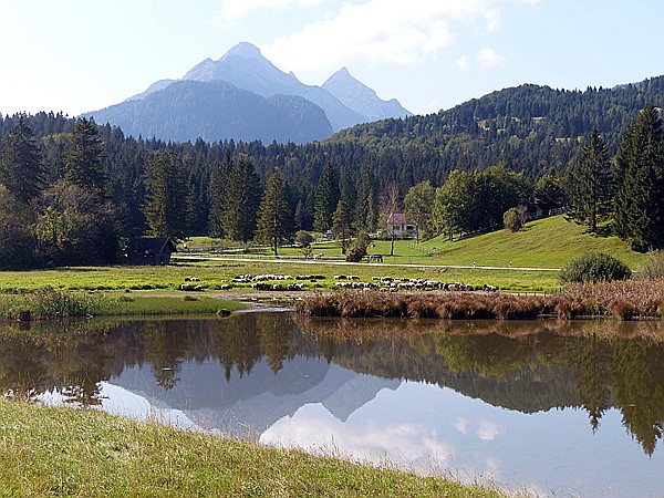 Foto:: Wanderung / Schmalensee - Buckelwiesen - Kruen / 17.09.2018 (Foto,Fotos,Bilder,Bild,)