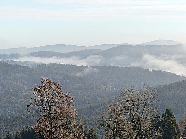 Foto:: Aussicht / Mitterfirmiansreut / 05.12.2018 (Foto,Fotos,Bilder,Bild,)