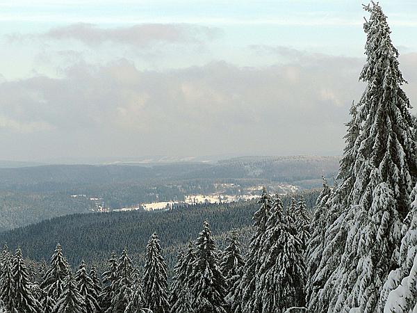 Foto:: Schneelandschaft / Schmuecke / 04.02.2019 (Foto,Fotos,Bilder,Bild,)