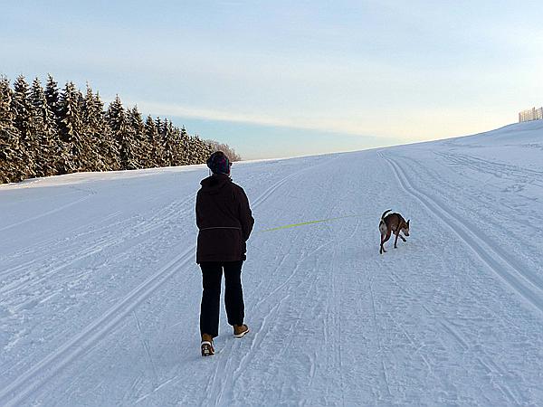 Foto:: Umgebung / Neustadt am Rennsteig / 04.02.2019 (Foto,Fotos,Bilder,Bild,)
