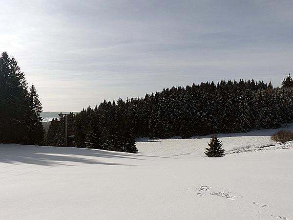 Foto:: Schneewanderung / Neustadt am Rennsteig / 06.02.2019 (Foto,Fotos,Bilder,Bild,)