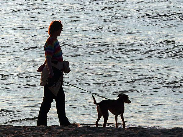 Foto:: Abendlicht / Pobierowo / 02.06.2019 (Foto,Fotos,Bilder,Bild,)