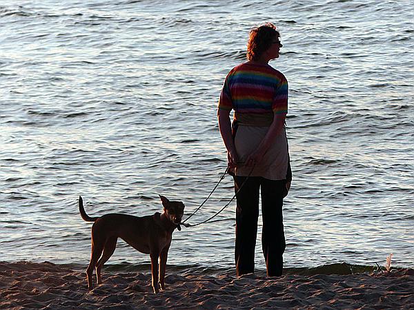 Foto:: Abendlicht / Pobierowo / 02.06.2019 (Foto,Fotos,Bilder,Bild,)