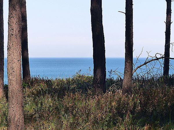 Foto:: Wanderung / Pobierowo - Pustkowo - Trzesacz / 03.06.2019 (Foto,Fotos,Bilder,Bild,)