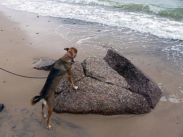 Foto:: Strand / Pobierowo / 07.06.2019 (Foto,Fotos,Bilder,Bild,)