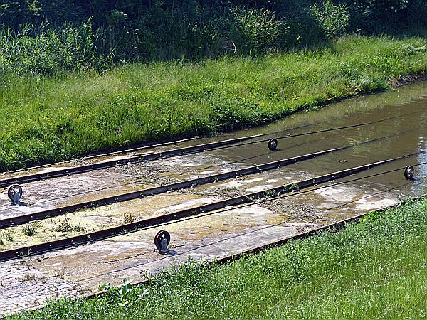Foto:: Oberlandkanal / Jelonki / 08.06.2019 (Foto,Fotos,Bilder,Bild,)