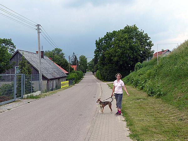 Foto:: Rundgang / Talty 08.06.2019 (Foto,Fotos,Bilder,Bild,)