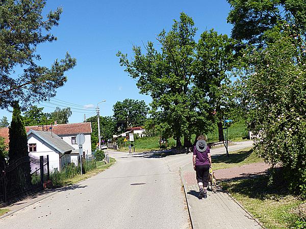 Foto:: Wanderung / Talty - Skorupki / 09.06.2019 (Foto,Fotos,Bilder,Bild,)