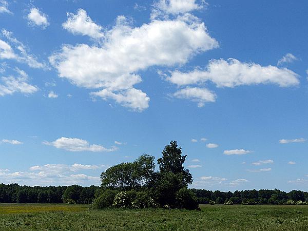 Foto:: Wanderung / Talty - Skorupki / 09.06.2019 (Foto,Fotos,Bilder,Bild,)