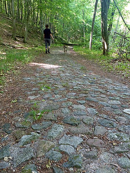 Foto:: Wanderung / Krutyn / 11.06.2019 (Foto,Fotos,Bilder,Bild,)