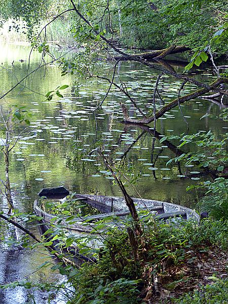 Foto:: Wanderung / Krutyn / 11.06.2019 (Foto,Fotos,Bilder,Bild,)