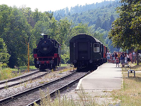 Foto:: 262 BB / Weizen / 26.07.2019 (Foto,Fotos,Bilder,Bild,)