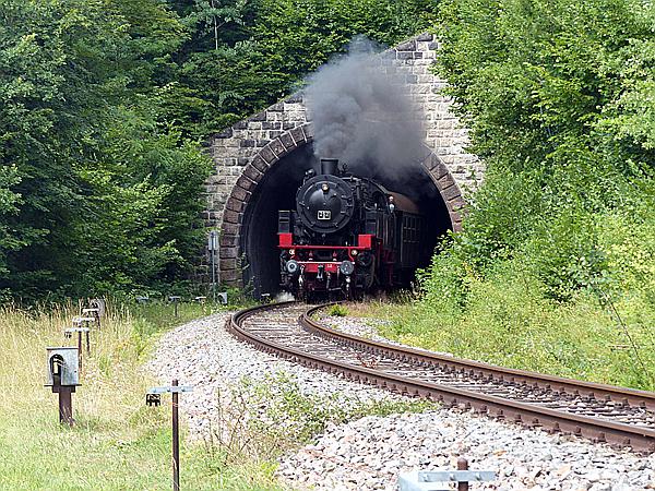 Foto:: 262 BB / Grimmelshofen / 27.07.2019 (Foto,Fotos,Bilder,Bild,)