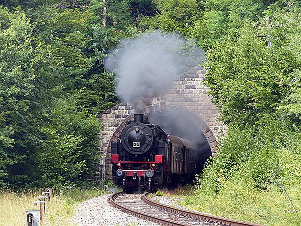 Foto:: 262 BB / Grimmelshofen / 27.07.2019 (Foto,Fotos,Bilder,Bild,)