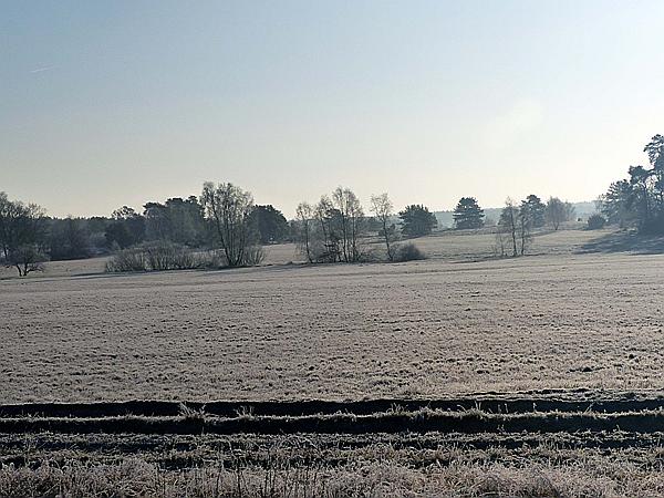 Foto:: Winterwanderung / Oberhaverbeck / 02.01.2020 (Foto,Fotos,Bilder,Bild,)